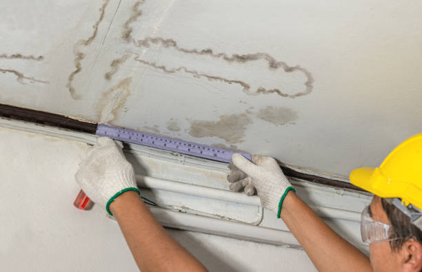 Reliable Water Damage contractor in Newbury, NH by Water Damage Irwin